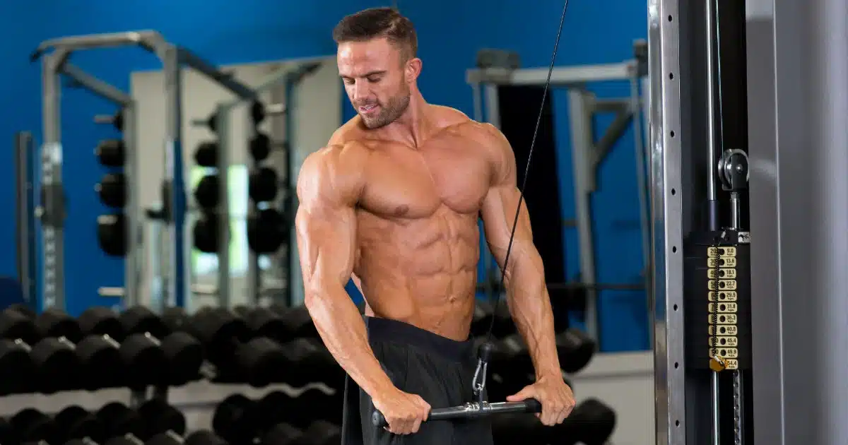 Muscles